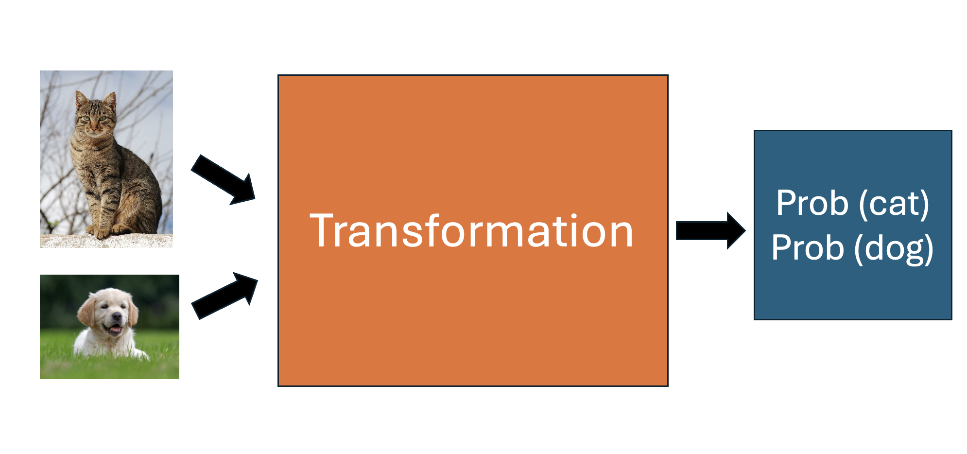 Diagram of cat/dog classication network