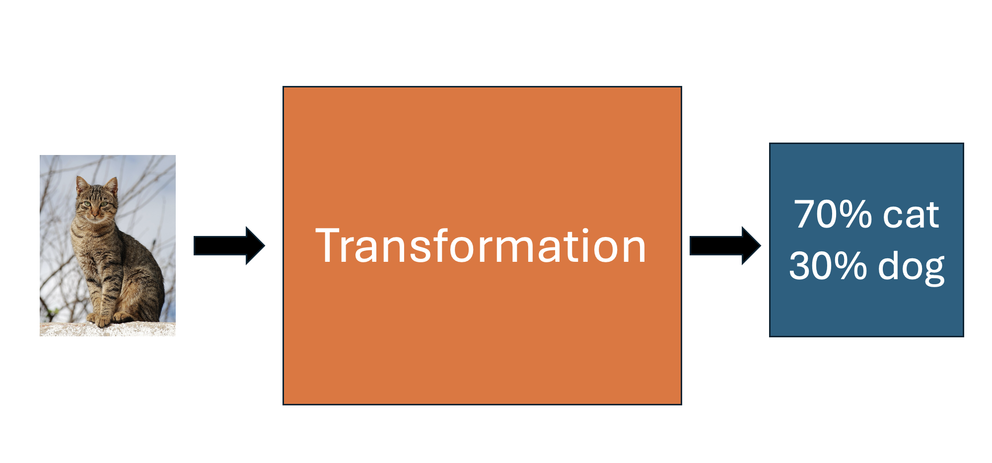 Diagram of cat forward