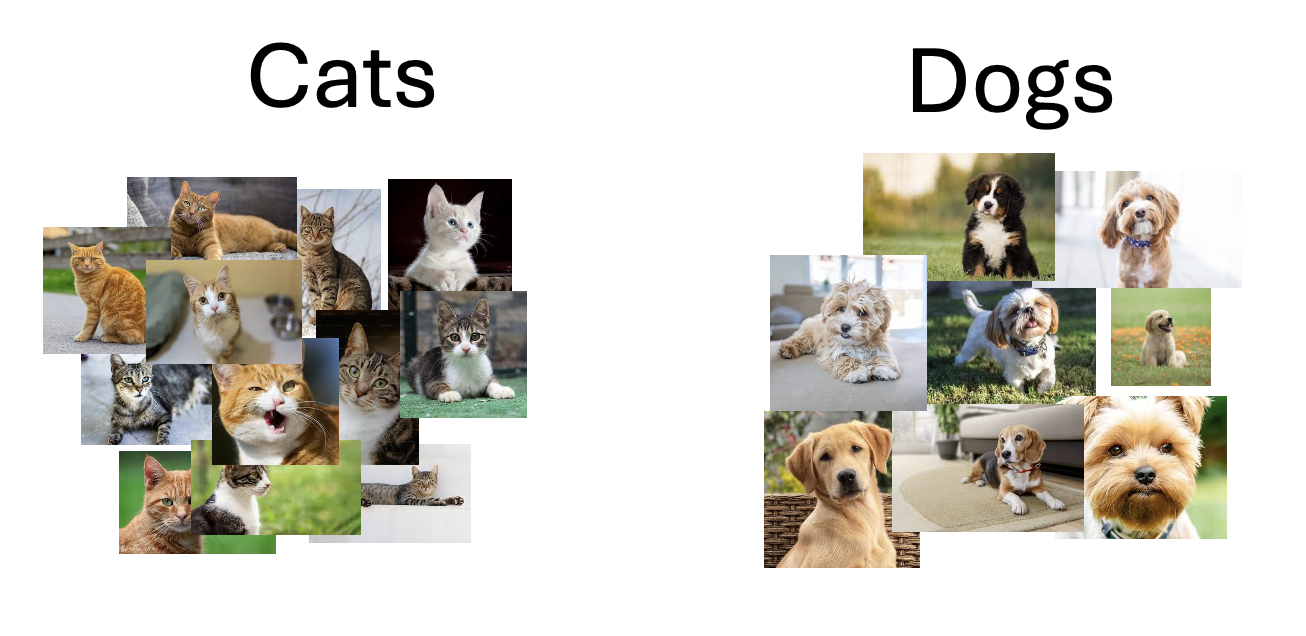 Diagram of cat dog training data