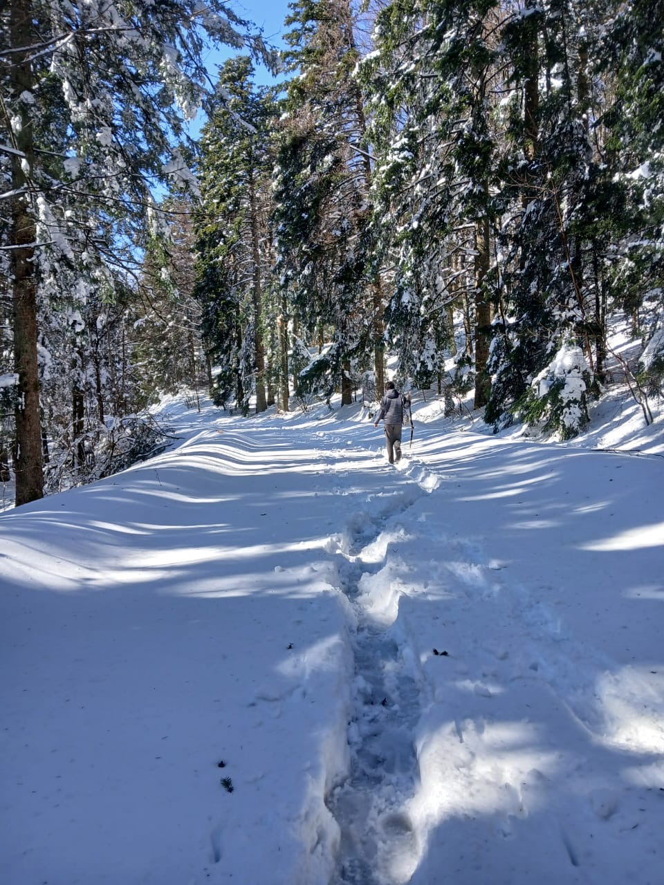Deep snow.